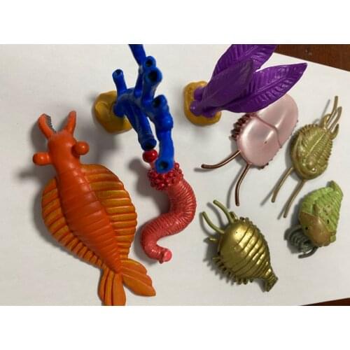 Pvc figure model toy Cambrian biological model set