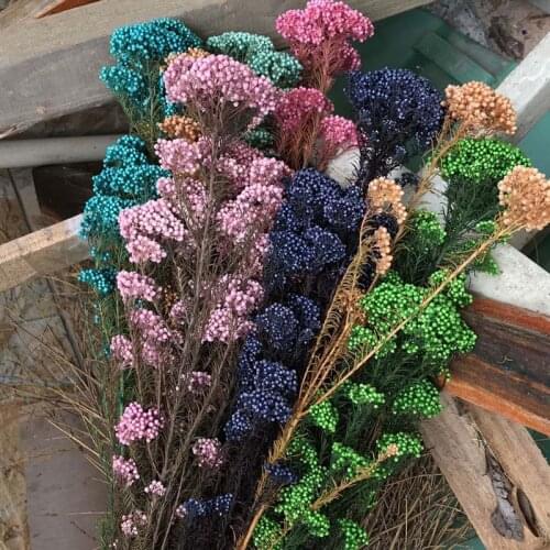 60g/Length 40-45CM Natural Fresh Ramillete Flores Eternell Millet Flower,Beauty Forever Flowers Bouquet For Farmhouse Home Decor