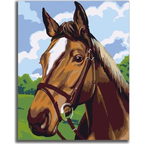 Horsey Horse Paint by Numbers Colorful Oil Painting Abstract 16x20 Framed DIY Paint by Numbers Kit for Adults Beginners
