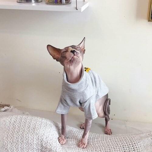 Spring Cat Clothes Steefan Sport Style Pets Devin Sphinx Sweater Dog Clothes