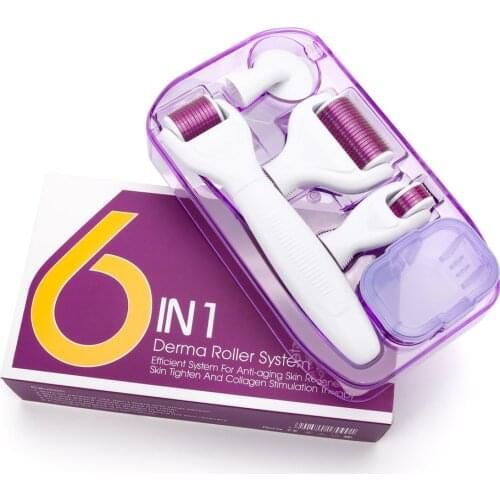 6 In 1 Facial Microneedle Derma Roller Kit Titanium Face Massage Microdermabrasion Facial Rollor Microneedle Skin Care Roller