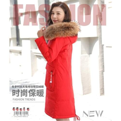 New lady down jacket of 2018 winter dress is a fashionable white duck plucked raccoon fur collar warm winter coat 90184