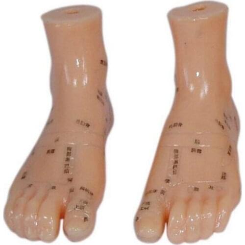 Chinon 12CM Foot Massage Model Teaching Appliances Medical Aids Traditional Chinese Medicine Medical Science Student BIX-Y1022