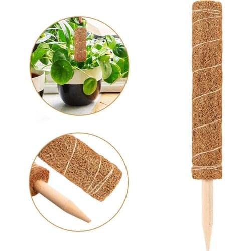 40/50CM Coir Moss Totem Pole Safe Plant Support Extension Coir Moss Stick for Climbing Indoor Plants #W0