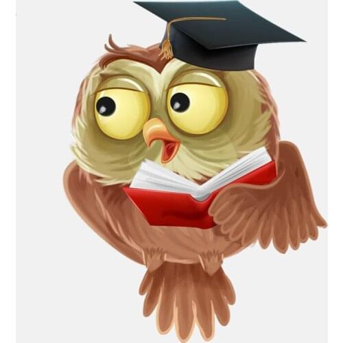 Hot Funny Car Stickers Lovely Owl with A Doctor Hat Motorcycle Decals Motorcycle Accessories Waterproof PVC 15cm *12cm