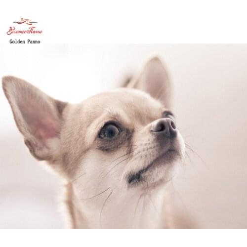 GOLDEN PANNO Diamond Painting Full Square 5D Diy Daimond Embroidery Diamant Mosaic Sale Displasy Broderie Diamant Dog 02