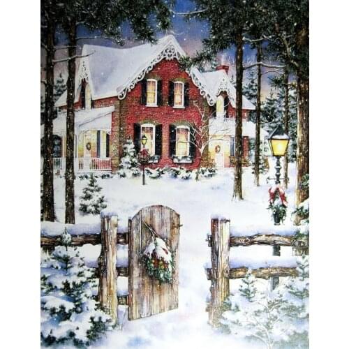 14/16/18/27/28 Embroidery Counted Cross Stitch Kits Needlework - Crafts 14 ct DMC color DIY Arts Handmade Decor - Ballerina