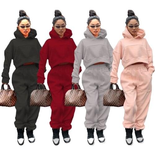 Fashion Two Piece Set Autumn Winter Women Solid Color Long Sleeve Thicken Hoodies Sweatshirts Crop Top Sweatpants Matching Sets