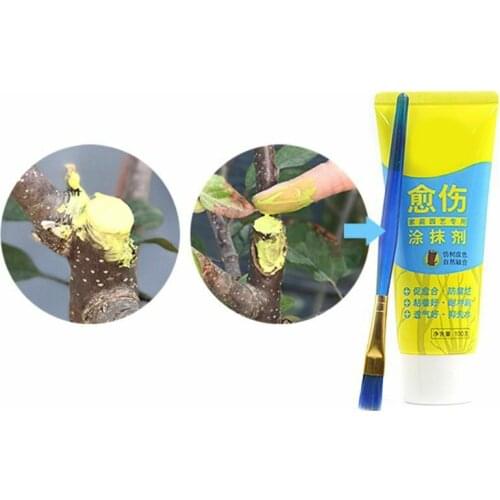 100g Tree Wound Bonsai Cut Paste Smear Agent Pruning Compound Sealer with Brush Bonsai Smear BJStore