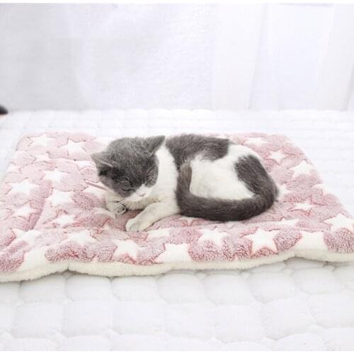 Pet Blanket Dog Bed Cat Mat Soft Coral Fleece Winter Thicken Warm Sleeping Beds for Small Medium Dogs Cats Pet Supplies