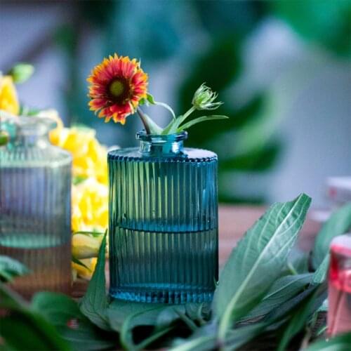 Embossed Clear Glass Bottle Small Bud Vase Home Wedding Decor Hydroponic Vase Small Flower Vase Table Decorative Bottle