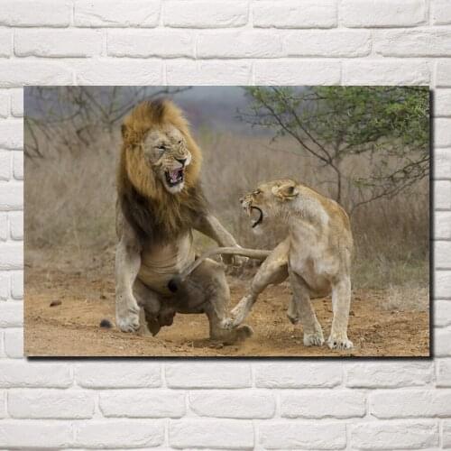 Lioness attack fight nature wild life animal predator photo DW123 living room home wall art decor wood frame fabric posters
