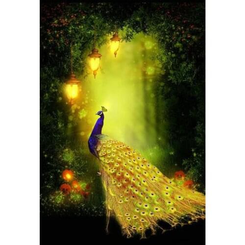 Full Square Diamond # Peacock DIY 5D Diamond Painting Full Round Diamond Mosaic Home Decor