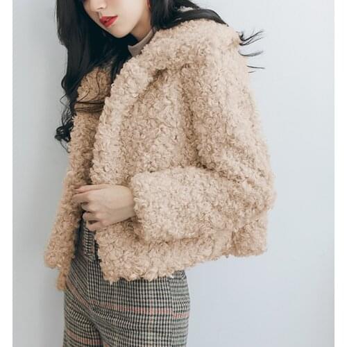 Curly Lamb Faux Fur Jacket Coat Women Turn Down Collar Furry Fake Fur Jacket for Women 2018 Winter Warm Fluffy Jackets Outerwear