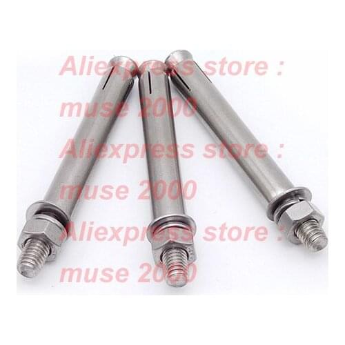 M6 M8 M10 M12 expansion bolt ring nut 304 Ceiling wall light fan hooker hanging screw wall anchor steel eyebolt sport room