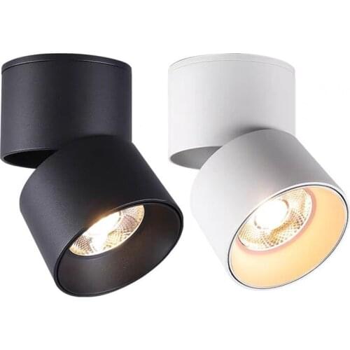 Surface mount dimmable rotating LED ceiling light, COB LED spotlight, 7W10W15W20W, with AC110V / 220V LED driver