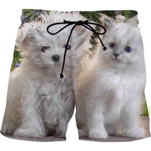 Summer Fun Pet Cat Mens Beach Pants 3D Printing Fashion Men And Women Lovers Sports Funny Street Leisure Beach Pants Mens Wear
