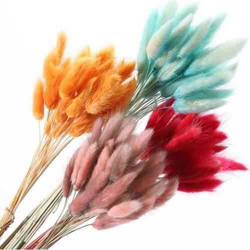 30/60 Pcs/lot Natural Dried Rabbit Tail Grass Red Pink Purple Gray Handwork DIY Home Desk Bathroom Flower Decoration Ornaments