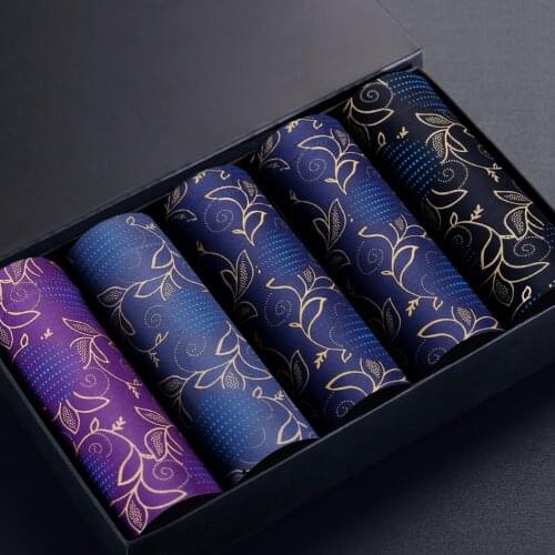 2020 Mens Panties 5Pcs\lot Underwear Boxers Modal Boxer Men Sexy Boxer Plus Size Bamboo Fiber Boxers Mens Underwear L-5XL