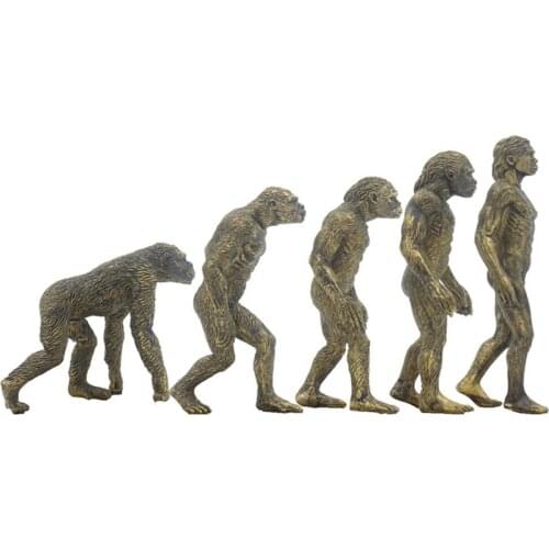Ramapithecus Australopithecus Homo Habilis Homo Erectus Ape Man Figure Educational Palaeobios Collector Toy Model
