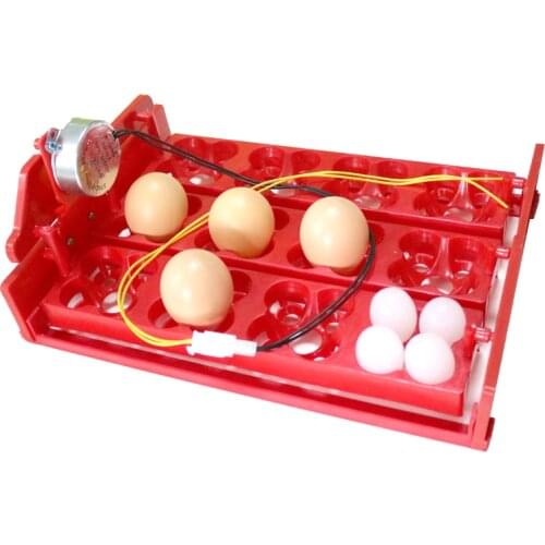 Incubator Turn Eggs Tray 12 Eggs/48 Birds Eggs 220V / 110V / 12V Chicken Bird Automatic Incubator DIY Incubator Accessories