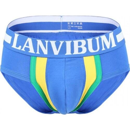 2019 Brand LANVIBUM Men gay underwear New Fashion Cotton Calzoncillos Sexy Bielizna Meska Funny Underwear Male Small Boxers