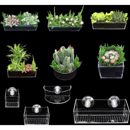 Mandopet Decorations For Aquariums