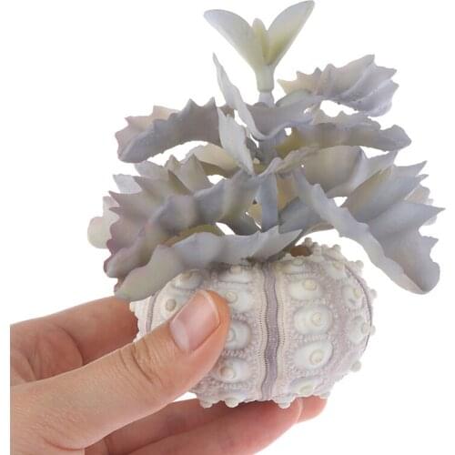 Air Plants Sea Urchin Tabletop Tillandsia Holder Garden Indoor Display Plant Stand Miniature Gardening Decorations