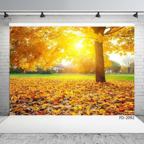 Autumn Yellow Leaves Tree Photography Backgrounds Customized Photographic Backdrops For Photo Studio Children Portrait Photocall