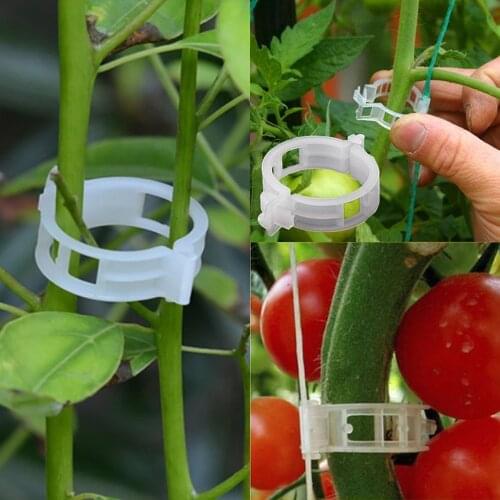 50/100/200pcs 23mm Plastic Plant Support Clips clamps For Plants Hanging Vine Garden Greenhouse Vegetables Tomatoes Clips