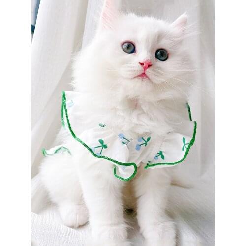 Pop in Cats Clothing Summer Ragdoll Cat Pet Cats and Puppy in Summer Vest Cat Dress Clothes Dog Clothes One-Piece Dress Xs-Xxl