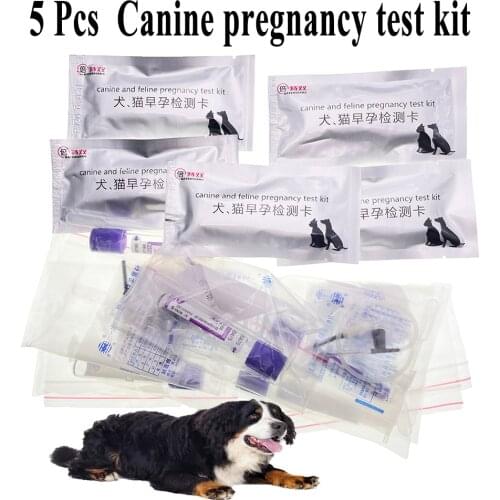5PCS Pet Dog Cat Canine Feline Early Pregnancy Test Strips Kit Clinic Home UBlood Serum Method For Alaska Bichon Persian Sphinx