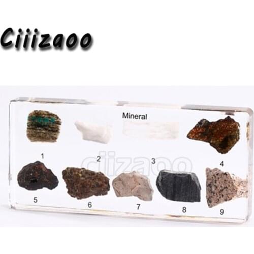 Mineral Specimen paperweight Taxidermy Collection embedded In Clear Lucite Block Embedding Specimen