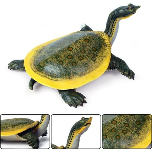 Soft-shelled TurtleAnimal Model Action Figure Sea Animal Action Figures Collection PVC Children Cognitive Toys