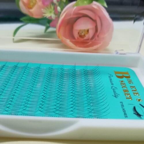 Lashes 12 Lines 8-15mm 2D Lashes Pre made Volume Lash Fans Russian Volume Eyelashes Individual Silk Eyelash Extensions