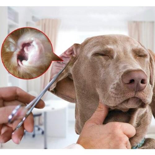 Dog Accessories Clean Ears Hair Pet Cleaning Pliers Pet Cat Dog Hemostasis Hair Clipper Cleaning Ear Elbow Pet Grooming Supplies