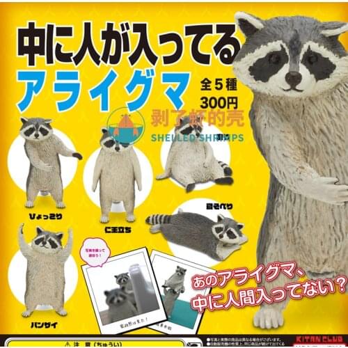 Japan Kitan Gashapon Capsule Toys KITAN CLUBE Animal Table Ornaments Decoration Figure Stuff Like Raccoon Model