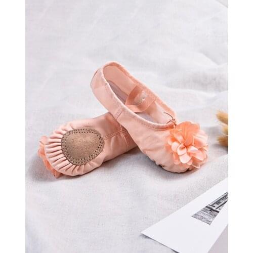 Girls Flat Dance Shoes Kids Canvas Soft Sole Ballet Shoes Childrens Sequins Embroidery Ballet Slippers with Beautiful Flower
