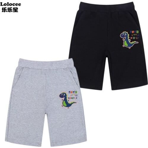 Summer Children Cotton Shorts for Boys Brand dinosaur Print Shorts Toddler Panties Kids Beach Short Sports Pants