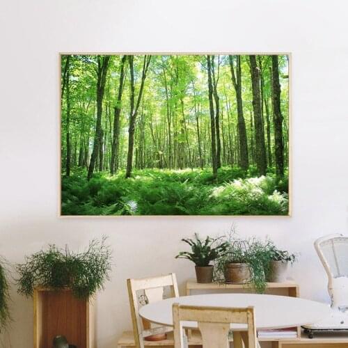 Green Woods Original Photo Poster Canvas Painting Laughing Whitefish Falls Forest Ferns Art Print Wall Picture Living Room Decor