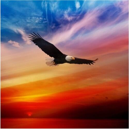 5D DIYFull Square Diamond Painting Animal Eagle Diamond Embroidery Mosaic Landscape Handmade Gift Winter Wall Art