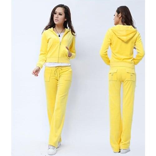 Spring and Autumn New Casual Sports Suits Female Velvet Gold Two-piece Korean Version of The Fashionable Thin Sweater Suit