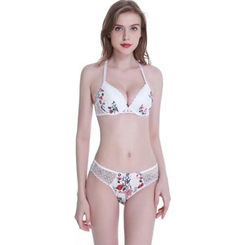Sexy Lace Bra Set Women Underwear Beauty Back Push Up Bra Sexy Intimate Printing Lingerie Set 32 34 36 38 40 42 44 A B C D DD E