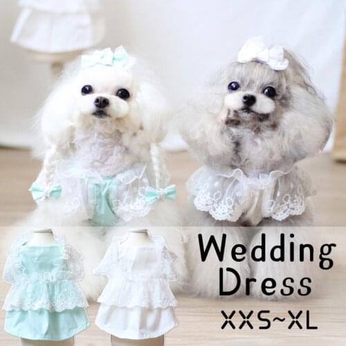 Pet Dog Clothes Wedding Dress for Dogs Puppy Skirt Lace Gauze Summer Pomeranian Teddy Yorkshire Corgi Bichon Shih Tzus Costumes