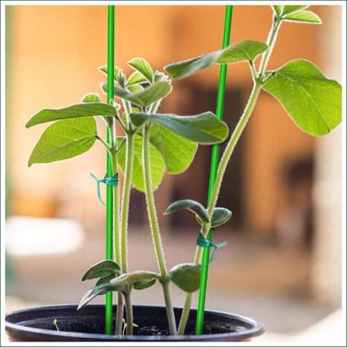 Multifunctional Twist Tie Plant Fixed Rope Binding Rope Ties For Garden Flowers Fixation Plant Support Strap Fastener Cable Ties