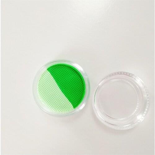 10g Face Painting Fluorescence Professional Make-Up Teaching Parent-Child Activities