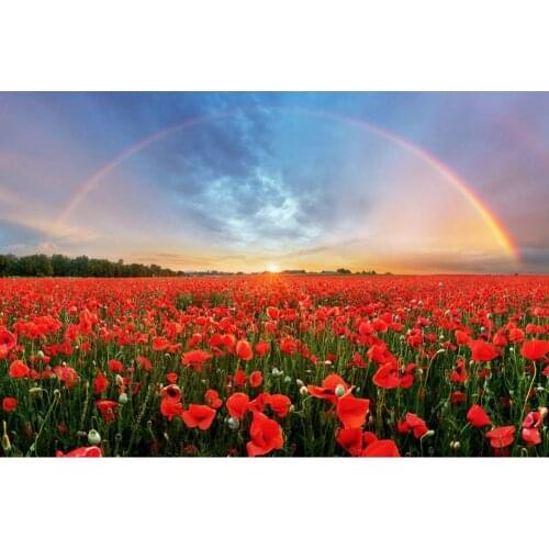 Spring Flower Field Rainbow Nature Scenery Baby Backdrop Vinyl Photography Background For Photo Studio Photophone Photozone Prop