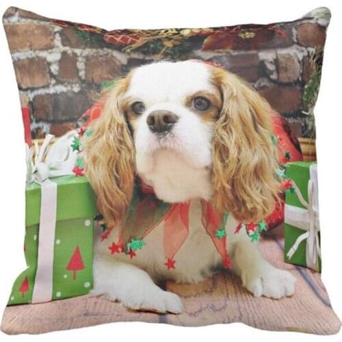 Cavalier King Charles Spaniel Mei Mei Throw Pillow case