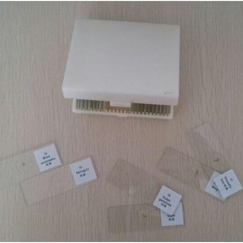 HIGH QUALITY MICROSLIDES SET OF 25 PIECES