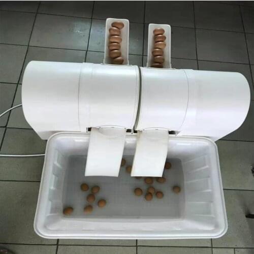 Double Port Commercial Fully Automatic Egg Washing Machine Small Egg Washing Machine Chicken Duck Goose Egg Washing Machine
